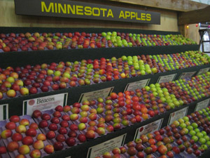 Minnesota