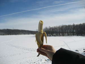 Minnesota Inspirations