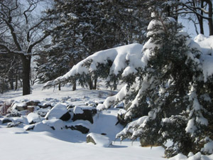 Minnesota