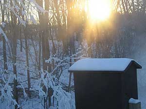 Minnesota