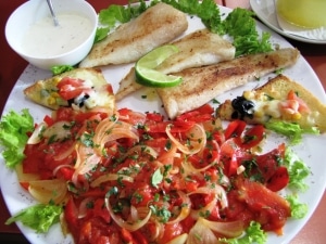 Fish Plate