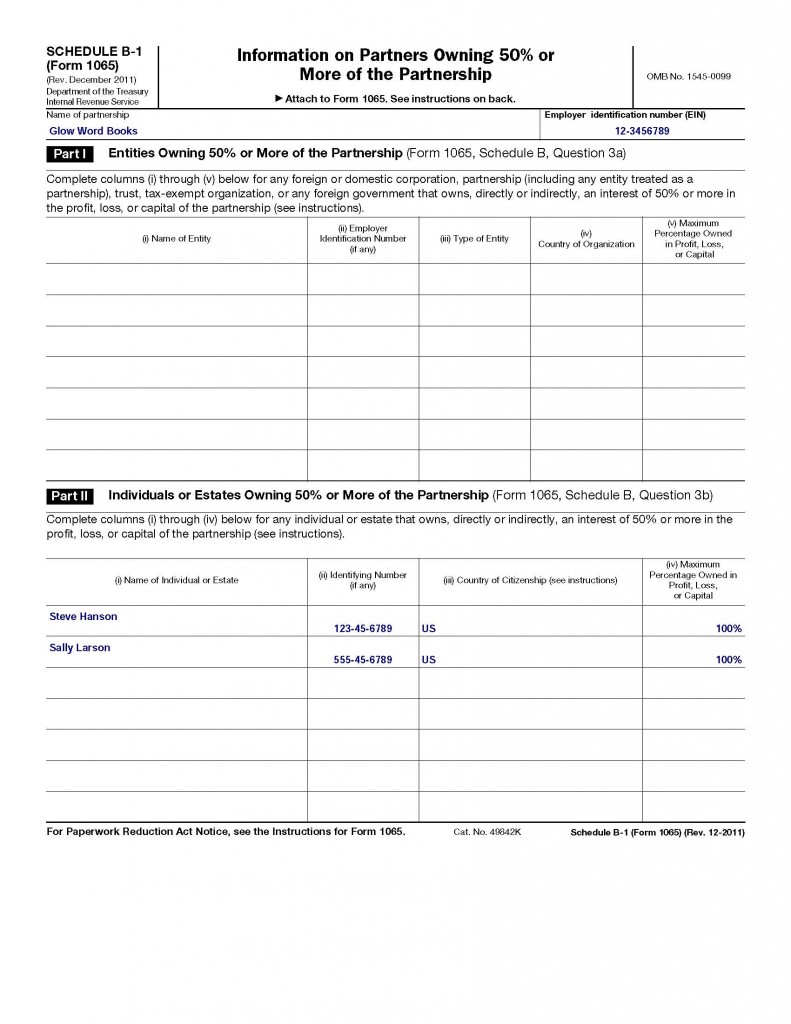 How to fill out an LLC 1065 IRS Tax form