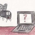 kids riddle fly