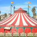 kids circus jokes