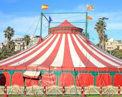 kids circus jokes