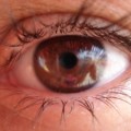 short kids poem eye