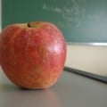 teacher jokes for kids