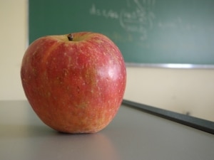 teacher jokes for kids