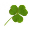 St. Patrick's Day Jokes For Kids