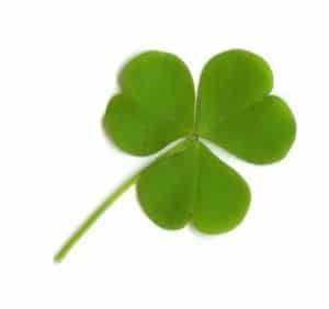 St. Patrick's Day Jokes For Kids