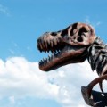 dinosaur jokes for kids