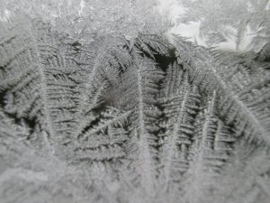 frosty window panes