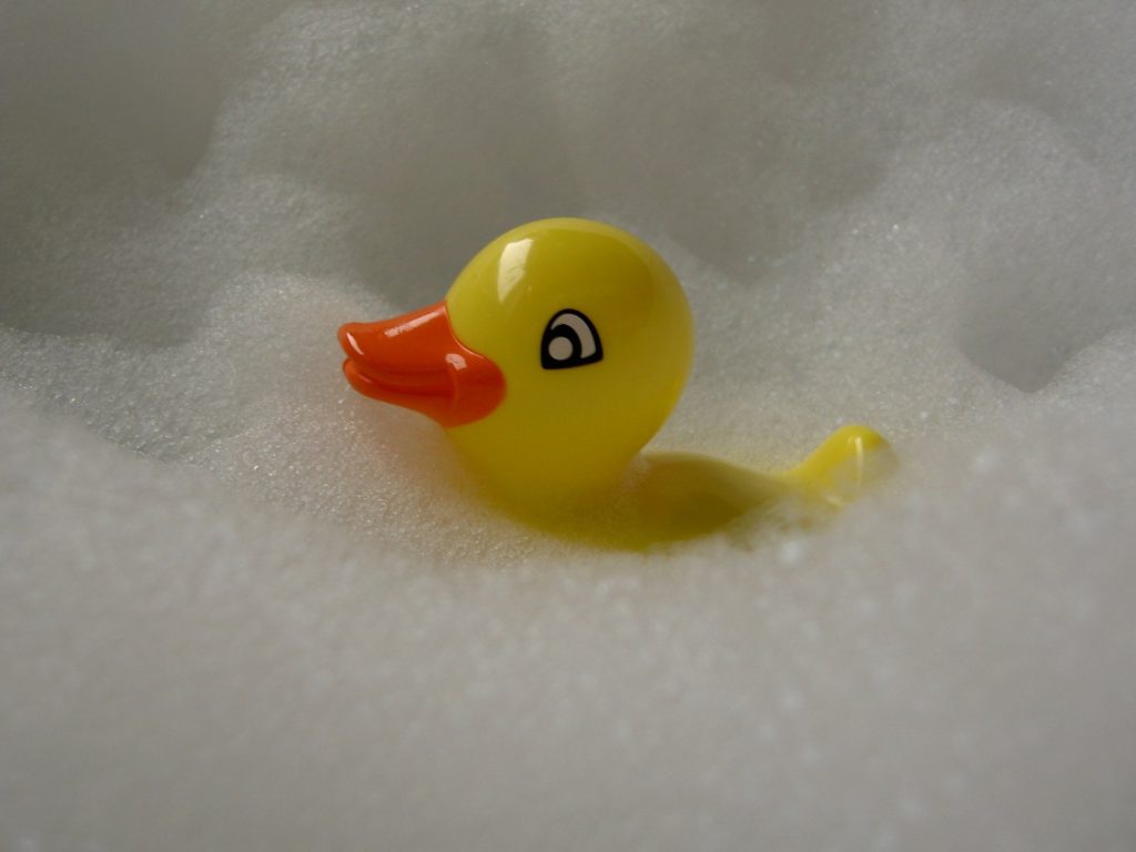 duck in bathtub